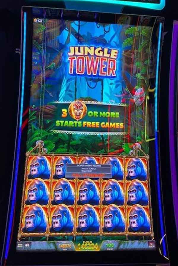 $1,461.24 won playing Jungle Tower game at Newport Racing & Gaming