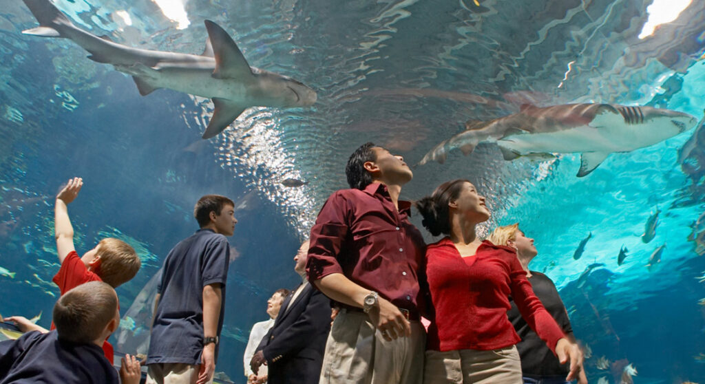 Newport Aquarium in Newport Kentucky