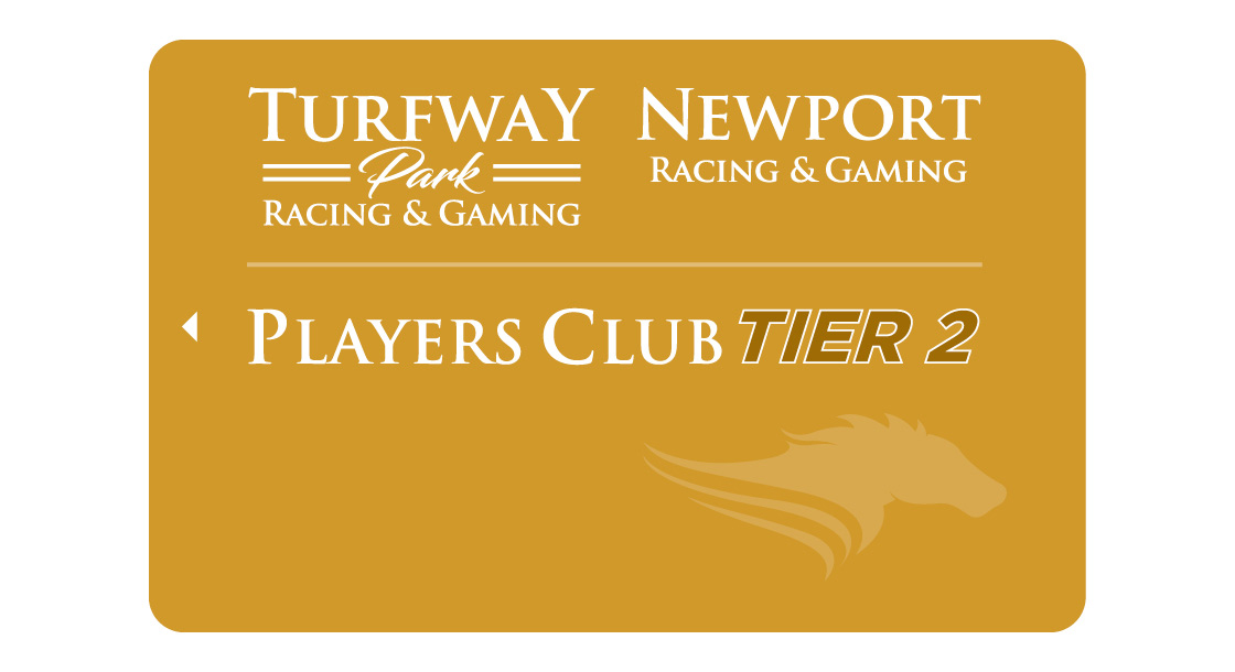 NG-36270_SEO_Retainer_Cards_1120x610-gold