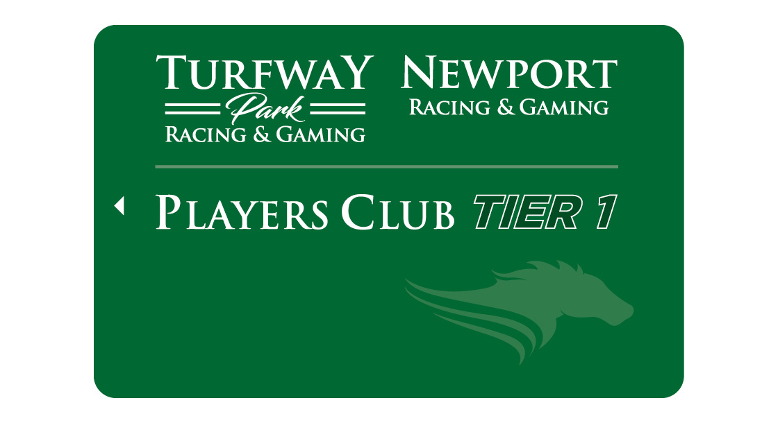 NG-36270_SEO_Retainer_Cards_1120x610-green